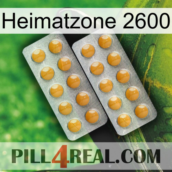 Home Zone 2600 levitra2.jpg